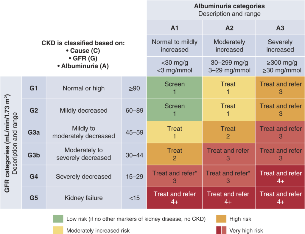 Risk of CKD progression, frequency of visits, and referral to nephrology according to GFR and albuminuria.