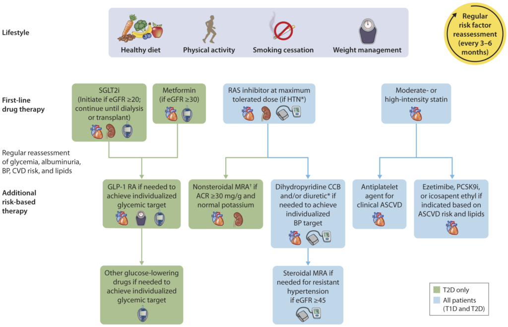 Holistic approach for improving outcomes in people with diabetes and CKD.