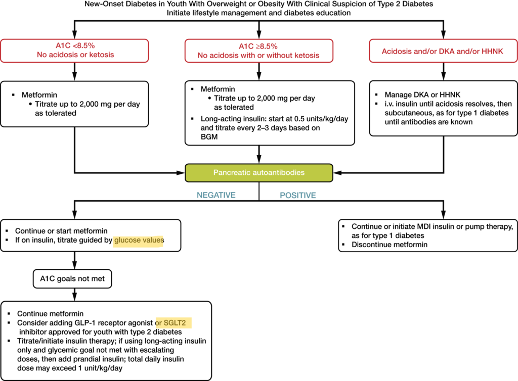 Management of new-onset diabetes in youth with overweight or obesity with clinical suspicion of type 2 diabetes.