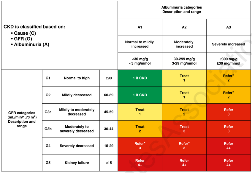 Risk of chronic kidney disease (CKD) progression, frequency of visits, and referral to a nephrologist according to glomerular filtration
rate (GFR) and albuminuria.