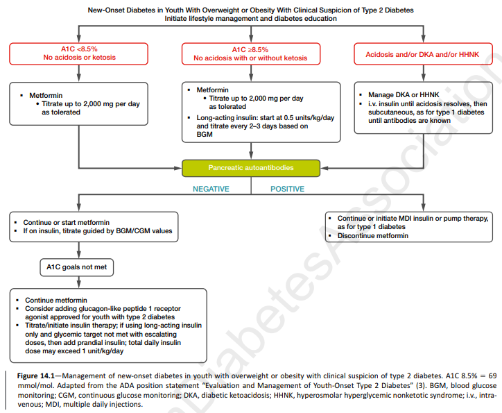 Management of new-onset diabetes in youth with overweight or obesity with clinical suspicion of type 2 diabetes.