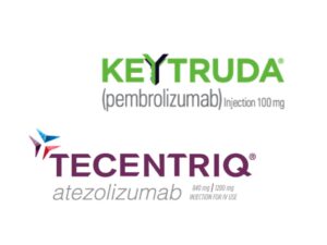 非小細胞肺癌治療選擇總覽，免疫藥物合併化療六月起健保擴大給付